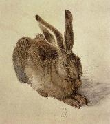 Albrecht Durer hare oil painting reproduction